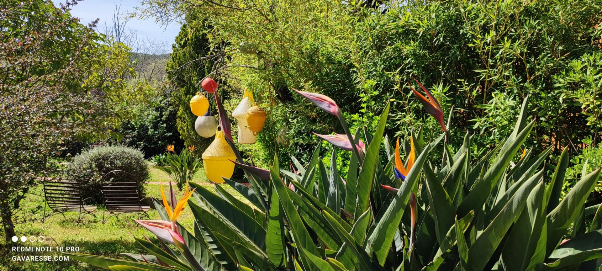 Bouées de balisage côtier colorées et recyclées, suspendues dans un arbre comme décoration marine dans le jardin du Mas de la Gavaresse, lien avec la mer, écologie.