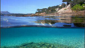 Vue unique, moitié sous l'eau moitié au-dessus, de la crique des Oursinières au Pradet, montrant l'eau turquoise et des rochers, accessible à pied depuis le gîte.
