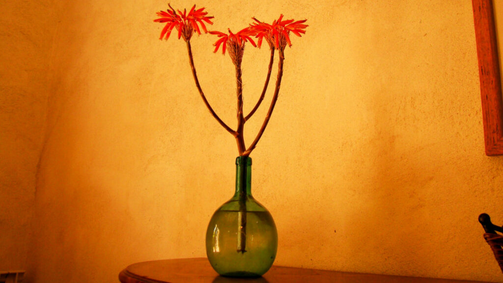 Vase en verre vert avec des fleurs séchées rouges sur une table en bois, ambiance décorative et chaleureuse du gîte L'Orangeraie.
