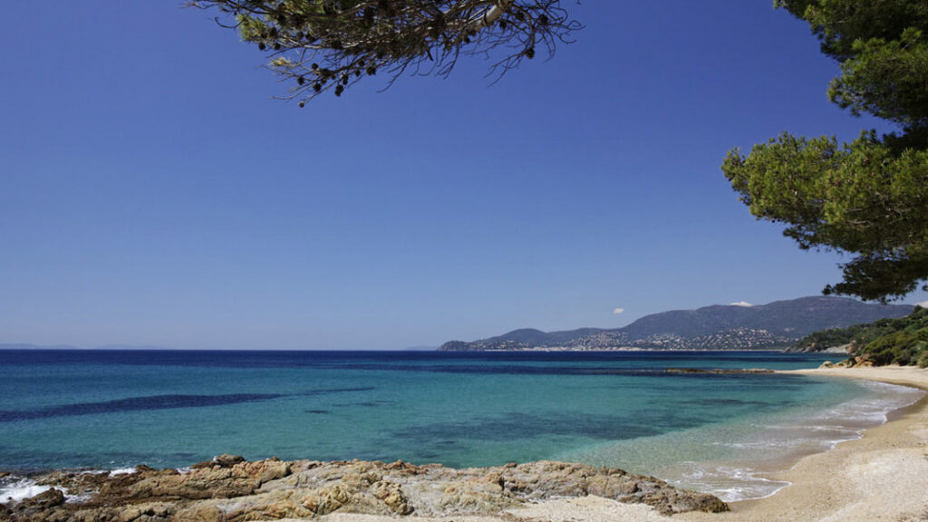 Plage méditerranéenne tranquille bordée de pins parasols, sable fin et mer calme, symbolisant la quiétude et l'éco-responsabilité des vacances au Pradet, Var.