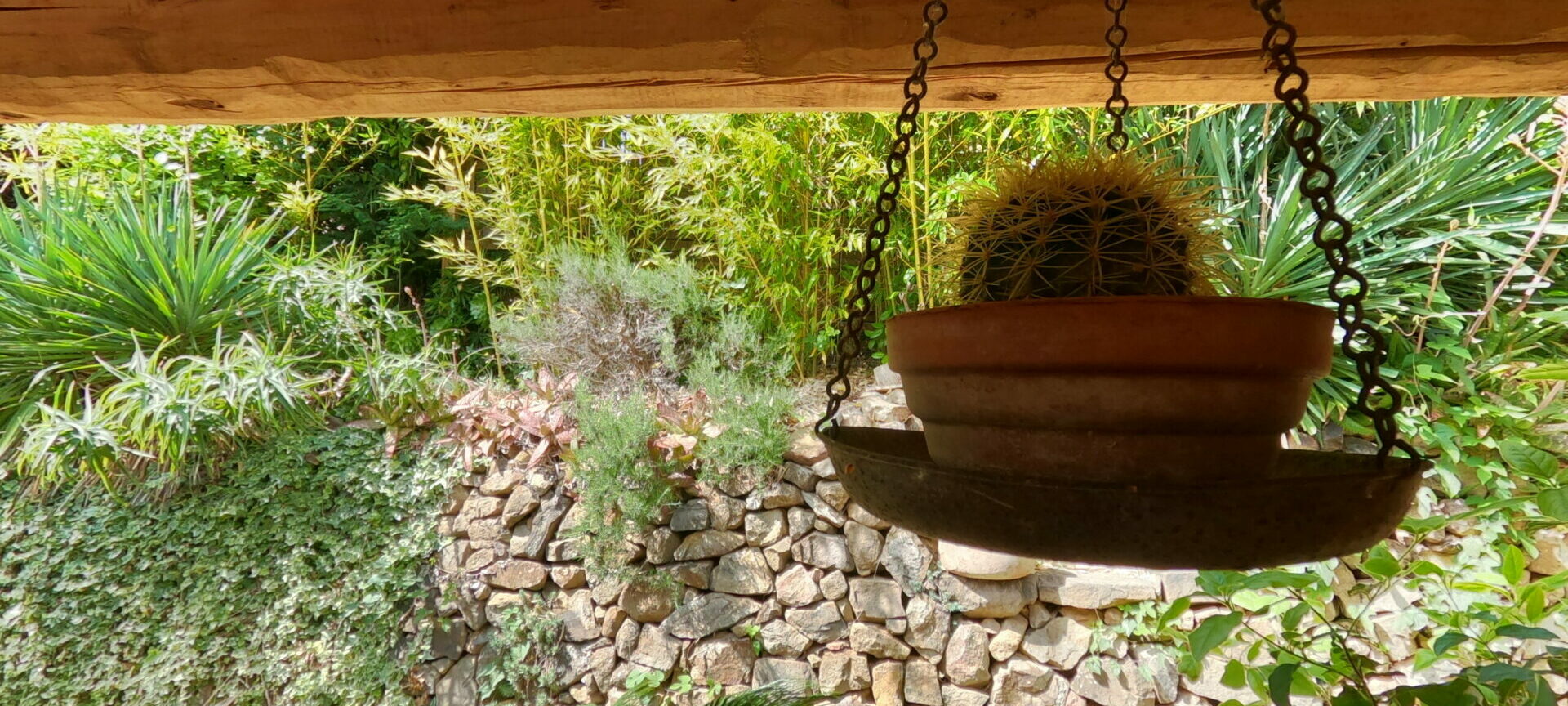 Pot de cactus posé dans une ancienne balance de marché suspendue sous la terrasse du gîte L'Orangeraie, décoration originale, esprit brocante, Le Pradet.