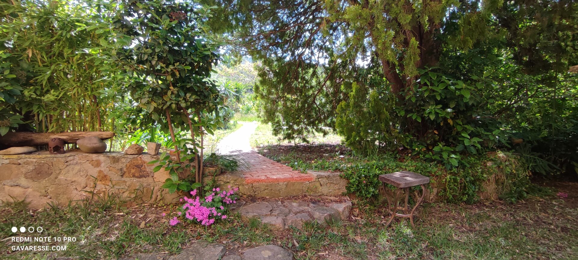 Chemin d'accès en briques serpentant dans le jardin arboré du gîte Le Pénéquet, Le Pradet.